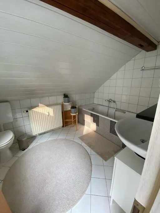 Mainblick Voll Ausgestattet, Kueche, Klima, Wanne Apartment Marktbreit